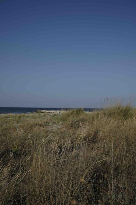 Casa Vacanze Campomarino  Zewnętrze zdjęcie